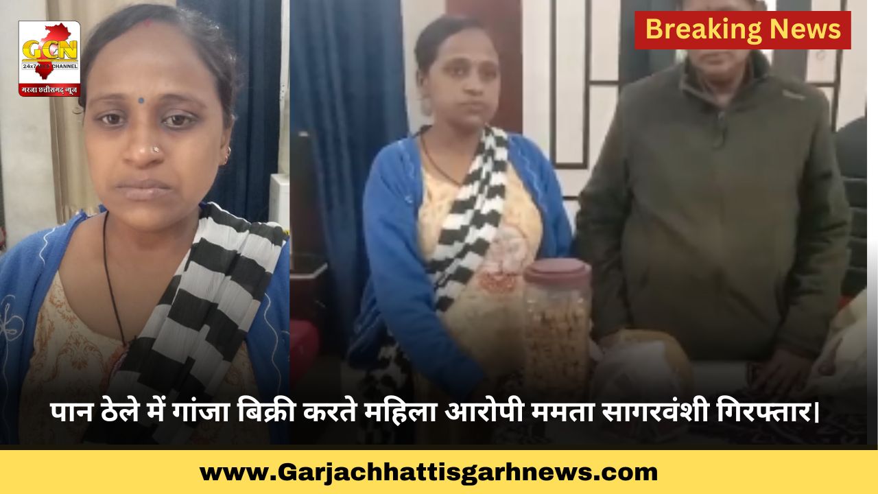 पान ठेले में गांजा बिक्री करते महिला आरोपी ममता सागरवंशी गिरफ्तार। 