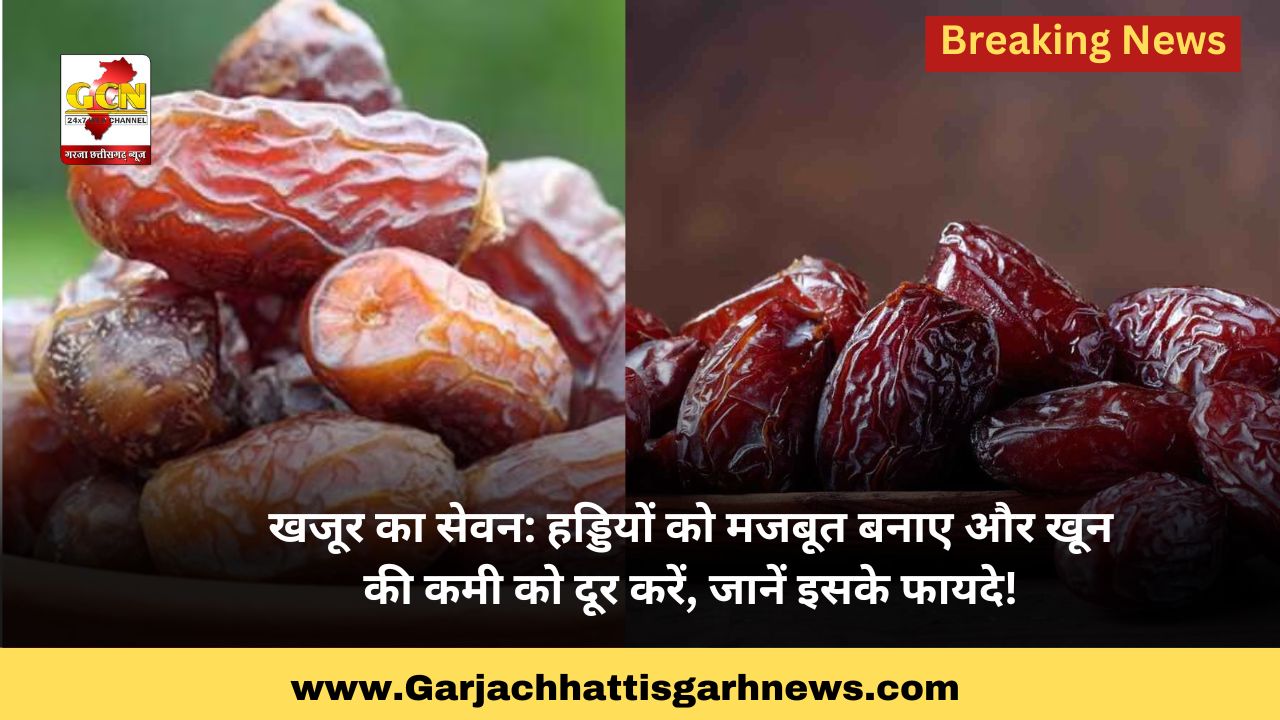 खजूर का सेवन: हड्डियों को मजबूत बनाए और खून की कमी को दूर करें, जानें इसके फायदे!