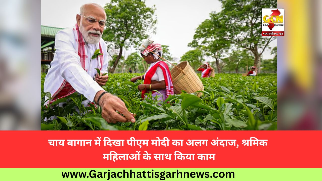 चाय बागान में दिखा पीएम मोदी का अलग अंदाज, श्रमिक महिलाओं के साथ किया काम