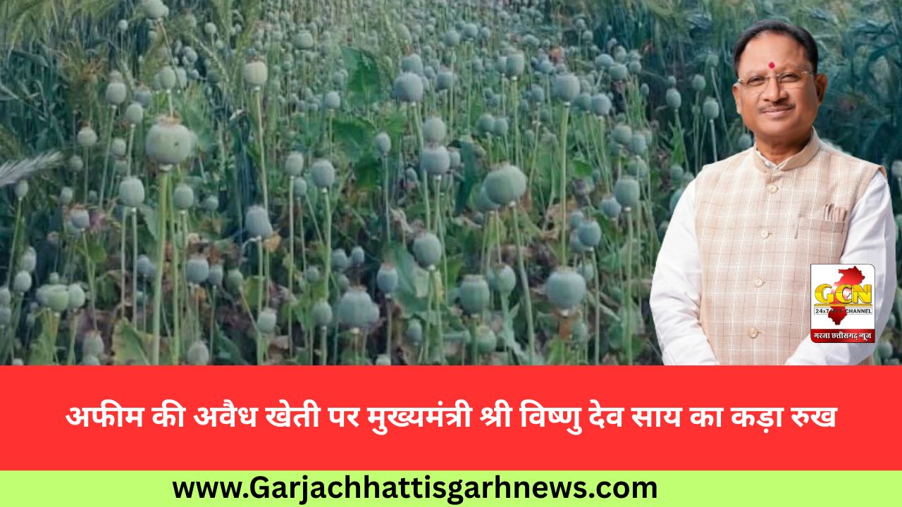 अफीम की अवैध खेती पर मुख्यमंत्री श्री विष्णु देव साय का कड़ा रुख अफीम की अवैध खेती पर मुख्यमंत्री श्री विष्णु देव साय का कड़ा रुख