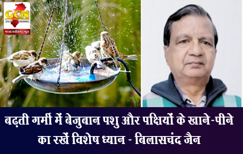 बढ़ती गर्मी में बेजुबान पशु और पक्षियों के खाने-पीने का रखें विशेष ध्यान - बिलासचंद जैन