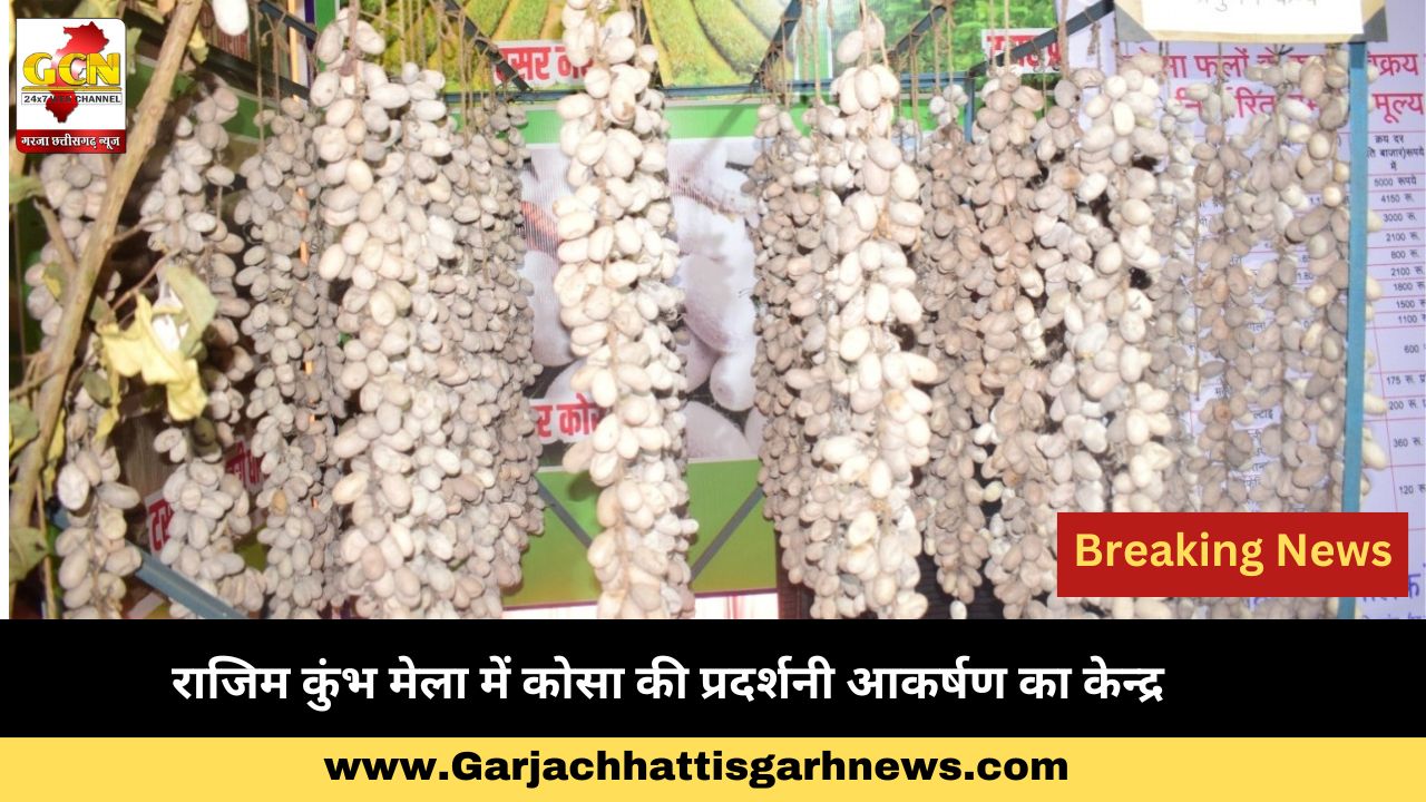  राजिम कुंभ मेला में कोसा की प्रदर्शनी आकर्षण का केन्द्र