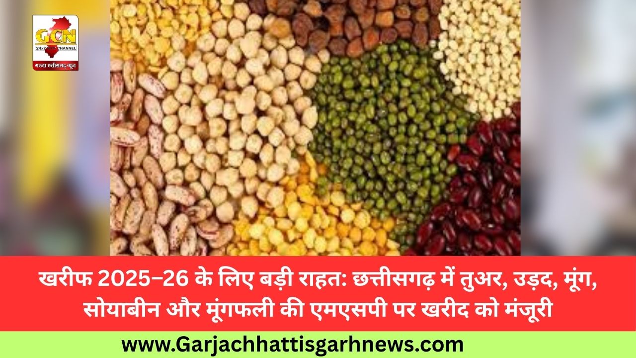 खरीफ 2025–26 के लिए बड़ी राहत: छत्तीसगढ़ में तुअर, उड़द, मूंग, सोयाबीन और मूंगफली की एमएसपी पर खरीद को मंजूरी