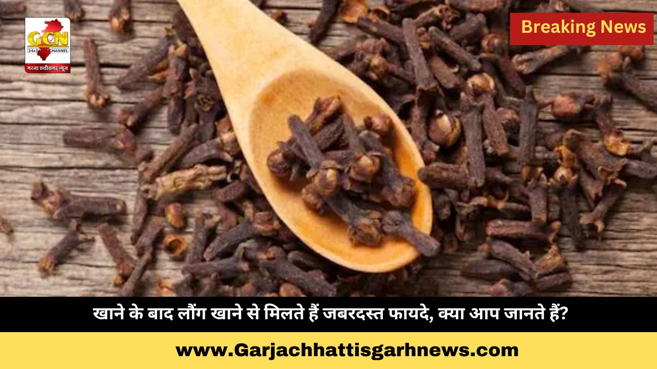 खाने के बाद लौंग खाने से मिलते हैं जबरदस्त फायदे, क्या आप जानते हैं? खाने के बाद लौंग खाने से मिलते हैं जबरदस्त फायदे, क्या आप जानते हैं?