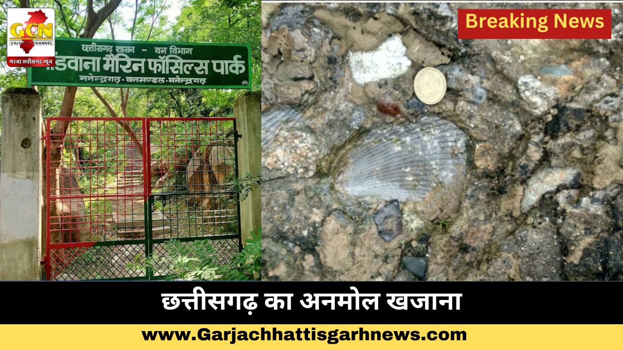 छत्तीसगढ़ का अनमोल खजाना
