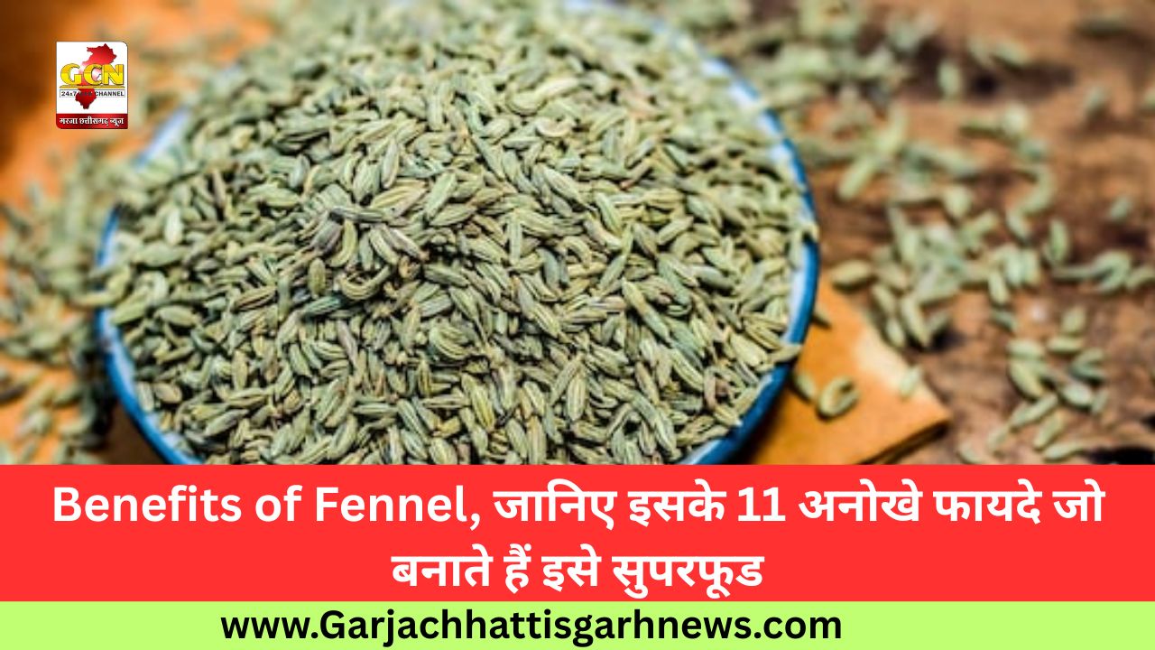 Benefits of Fennel, जानिए इसके 11 अनोखे फायदे जो बनाते हैं इसे सुपरफूड Benefits of Fennel, जानिए इसके 11 अनोखे फायदे जो बनाते हैं इसे सुपरफूड