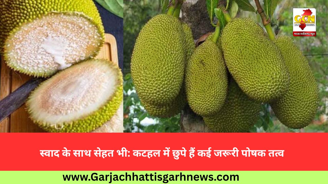 स्वाद के साथ सेहत भी: कटहल में छुपे हैं कई जरूरी पोषक तत्व
