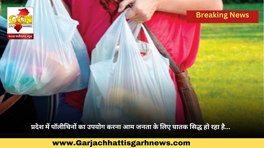 प्रदेश में पॉलीथिनों का उपयोग करना आम जनता के लिए घातक सिद्ध हो रहा है...