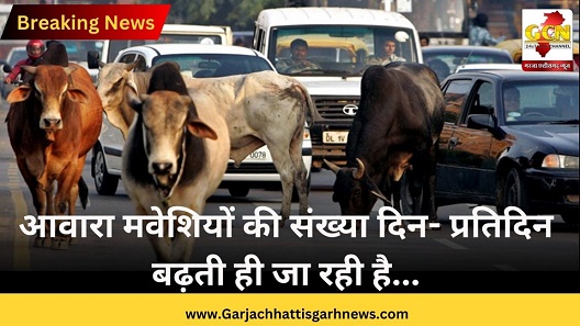 आवारा मवेशियों की संख्या दिन- प्रतिदिन बढ़ती ही जा रही है... आवारा मवेशियों की संख्या दिन- प्रतिदिन बढ़ती ही जा रही है...