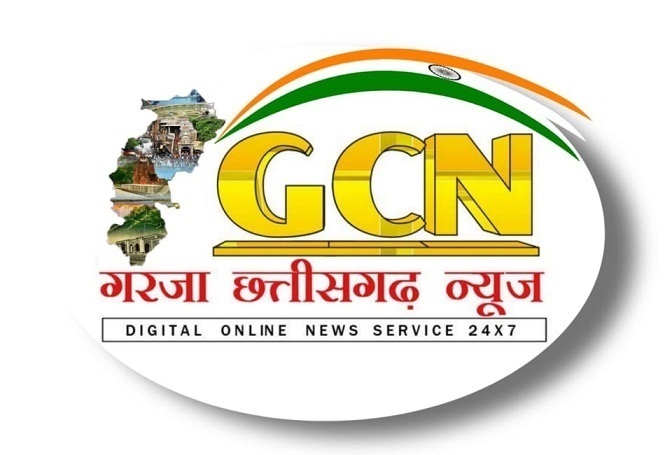 शासकीय कन्या उच्चतर माध्यमिक विद्यालय बिरकोनी में अंतराष्ट्रीय बालिका दिवस मनाया गया 