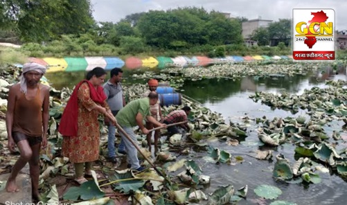 शहर के सभी 18 वार्डों में जन भागीदारी के साथ मनाया गया स्वच्छता ही सेवा कार्यक्रम