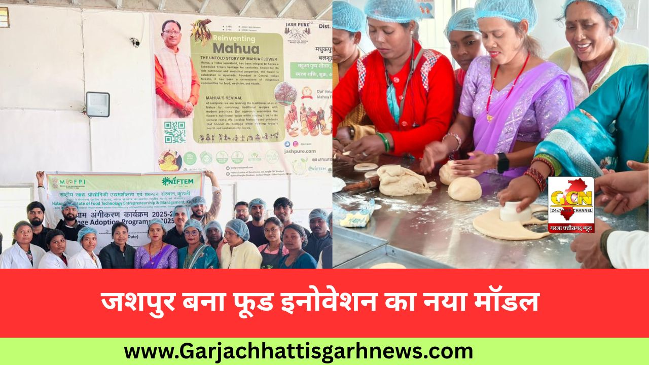 जशपुर बना फूड इनोवेशन का नया मॉडल