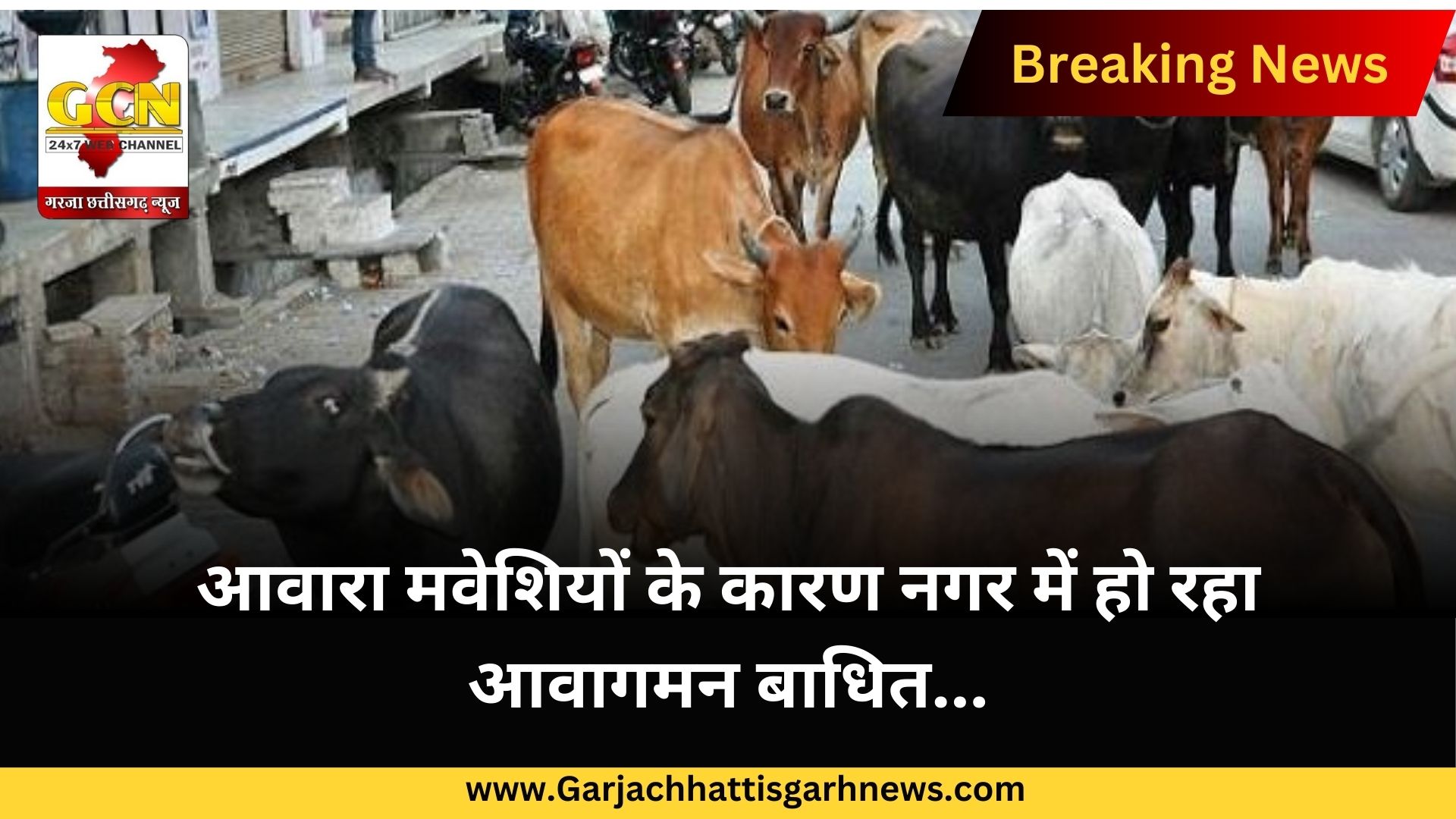 आवारा मवेशियों के कारण नगर में हो रहा आवागमन बाधित...