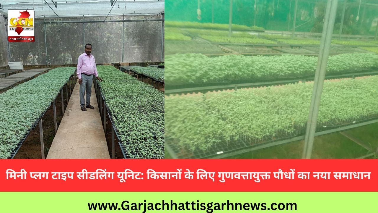 मिनी प्लग टाइप सीडलिंग यूनिट: किसानों के लिए गुणवत्तायुक्त पौधों का नया समाधान