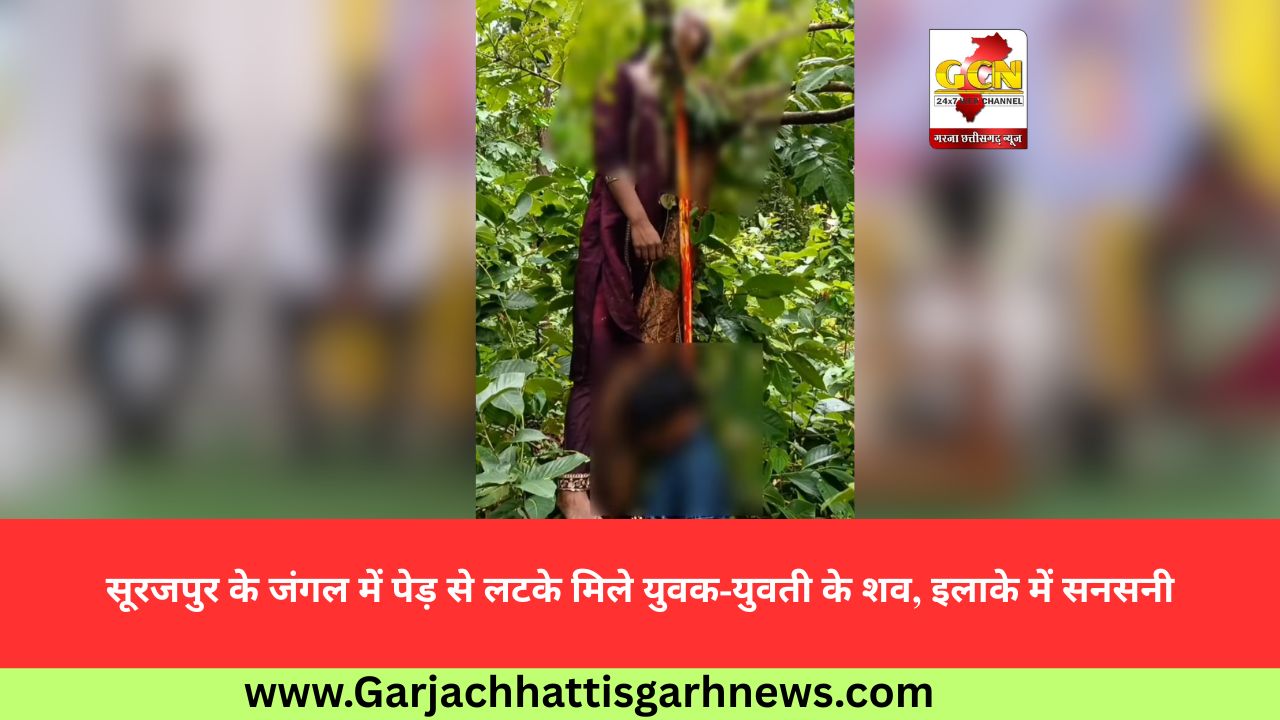 सूरजपुर के जंगल में पेड़ से लटके मिले युवक-युवती के शव, इलाके में सनसनी
