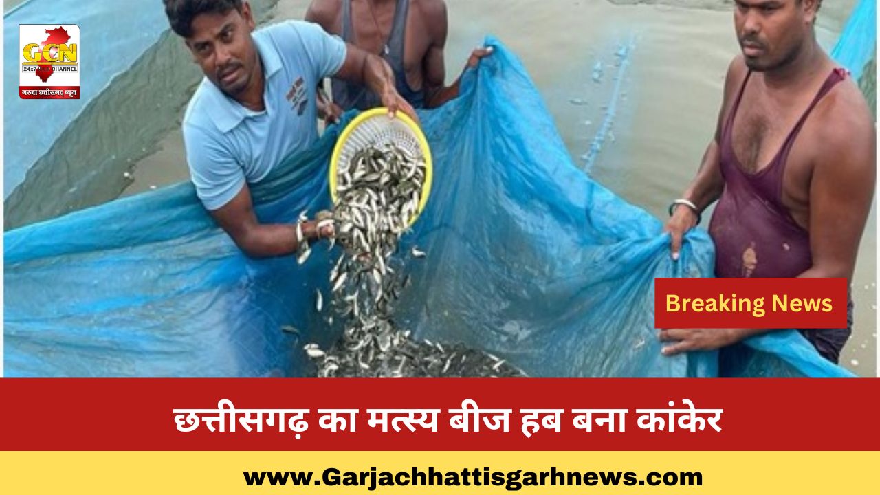 छत्तीसगढ़ का मत्स्य बीज हब बना कांकेर