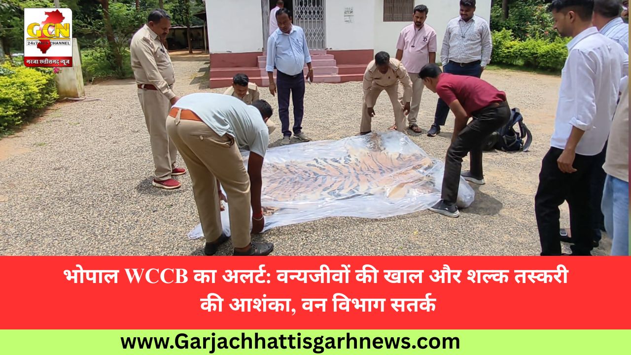 भोपाल WCCB का अलर्ट: वन्यजीवों की खाल और शल्क तस्करी की आशंका, वन विभाग सतर्क