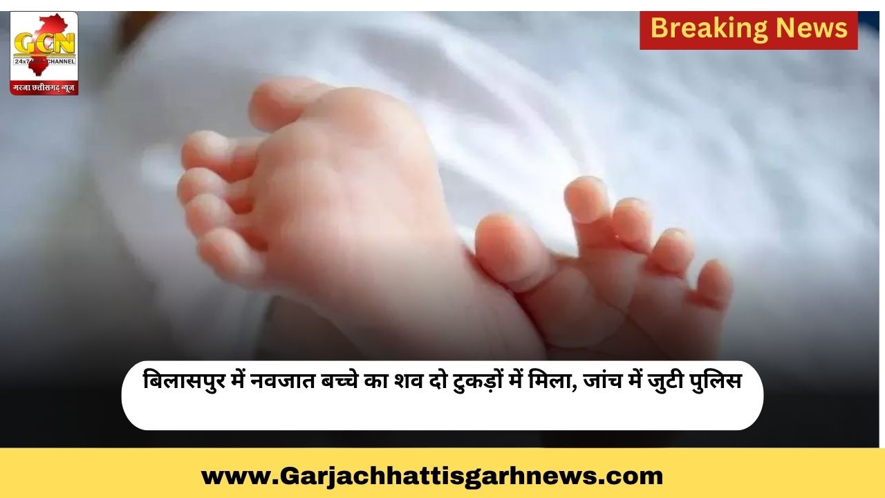 बिलासपुर में नवजात बच्चे का शव दो टुकड़ों में मिला, जांच में जुटी पुलिस
