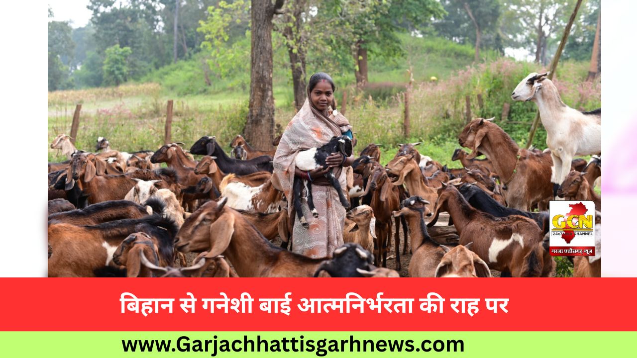 बिहान से गनेशी बाई आत्मनिर्भरता की राह पर