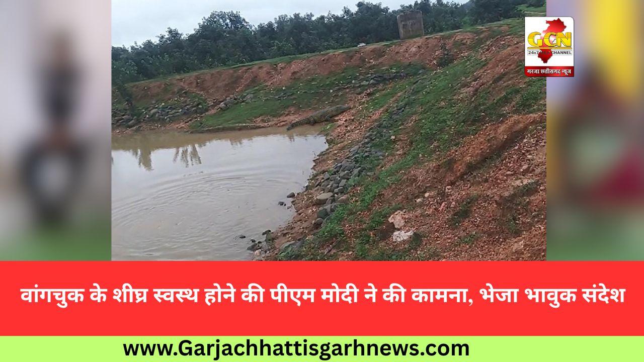 मगरमच्छ की भ्रामक ए.आई. फोटो वायरल करने वाले युवक पर वन विभाग की वैधानिक कार्रवाई